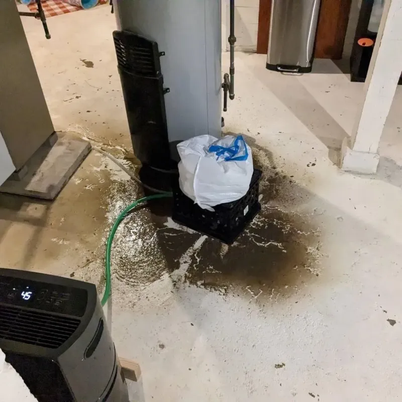 Sewage Backup Cleanup Service in Glenwood City, WI
